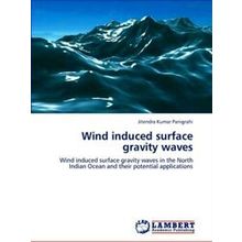 Wind induced surface gravity waves