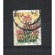 SouthAfrica.SG432 2c Mimetes Cucullatus.Fine Used.Sep25p