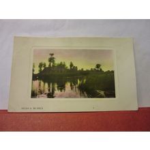 REEDS AND RUSHES used antique postcard ROTARY PHOTO 1908 pm =