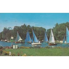 Horning Regatta Norfolk Broads 1960s Postcard