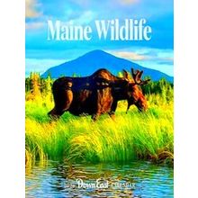 2025 Maine Wildlife Wall Calendar