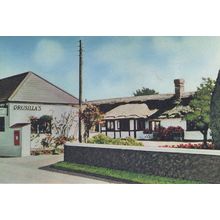 Drusilla's Tea Gardens Sussex Restaurant Pillar Box 1960s Postcard