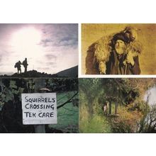 Squirrels Crossing Signpost Rambling at Dusk Yorkshire Farm Gate 4x Postcard s