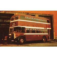 237 Bury Bolton Corporation 1956 Leyland Titan Tram Bus Photo Postcard