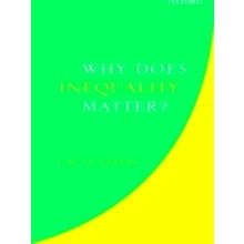 Why Does Inequality Matter?
