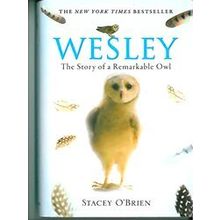 Wesley