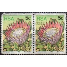South Africa. 1977 5c Value. Protea cynaroides. Fine Used Pair. Yellow green
