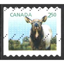 CANADA 2014 - BABY WILDLIFE - $2.50 ELK USED (G6)