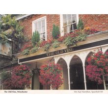The Old Vine Pub Winchester Hampshire Postcard
