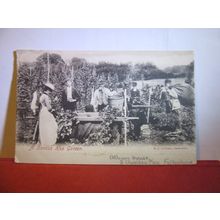 AKENTISH HOP GARDEN used antique postcard dated 1904 #