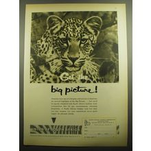 1960 South African Tourist Corporation Advertisement - Get the Big Picture