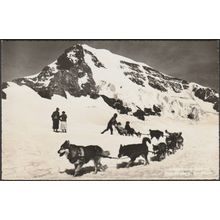 Polarhunde und der Mönch, Jungfraujoch, c.1940s - Photoglob-Wehrli Foto-AK