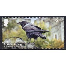 GB 2024 Tower of London - A Raven at the Tower £2.50 Used