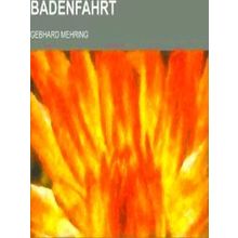 Badenfahrt - Geological Survey