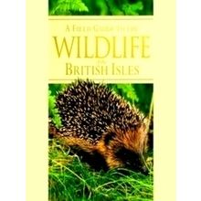 Wildlife Of The British Isles