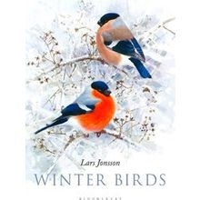 Winter Birds
