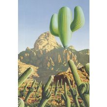 Cactus Plant Hot Air Balloon Painting Postcard