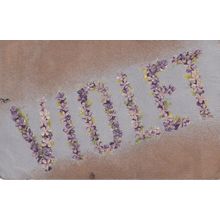 A Name Called Violet Old Postcard