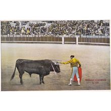 Matador Prepares To Kill 1920s Spanish Bullfighting Antique Postcard