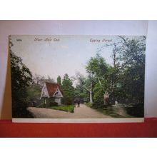 NEAR HALE END, EPPING FOREST, ESSEX. unused antique postcard =
