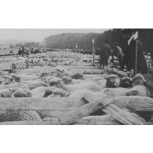 Findon Sheep Fair Farmers Cattle Auctions Nepcote Green Sussex Postcard