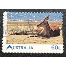 AUSTRALIA 2011 SG 3624 USED S/A #1