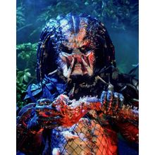 Predator 1987 (8) Poster Canvas Movie Film Print A0 A1 A2 A3 A4 A5 A6 Art Wall D