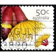 Australia 2005 Flower 50c Used P&S Stamp 11.25 Perf Mallee .