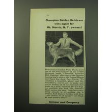 1950 Armour and Company Dash Dog Food Ad - Champion golden retriever wins again