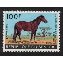 Senegal Horse-breeding Improvement Campaign Pass 1971 MNH SG#453