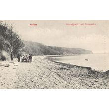Horse & Cart Strandparti Ved Ornereden Aarhus Denmark Old Postcard