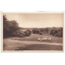 Near the Chalet Dartford Heath Kent Postcard Snowden Series