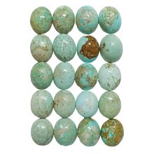 53557 - 20 Very Rare Natural Australian Turquoise 11x9 mm Oval Cabs No Treatment