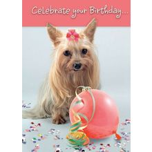 Celebrate Your Birthday - Greeting Card - 00767