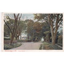 EC902 BEMBRIDGE- DULCIE AVENUE . PRINTED POSTCARD