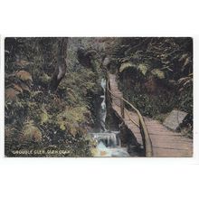 Groudle Glen Coan Isle of Man Postcard 7003