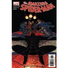 Amazing Spider-Man (Vol 2) # 507 NM MODERN AGE COMICS