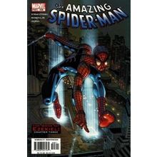Amazing Spider-Man (Vol 2) # 508 NM MODERN AGE COMICS