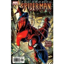 Amazing Spider-Man (Vol 2) # 509 NM MODERN AGE COMICS