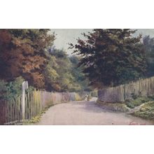 Lovers In Paradise Drive Eastbourne Sussex Antique Oilette Postcard