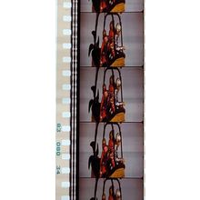 Bee Gee's. Pk MTP -BGs - A021u . 1 STRIP OF 5 - 35MM FILM CELLS.