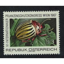 Austria Colorado Potato Beetle Insect Fauna 1967 MNH SG#1504 Sc#1434