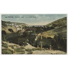 GRAN CANARIA Las Palmas Barranco Seco. Camino del monte. early 20th C. RPPC 41