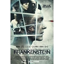 Frankenstein (2015)_0 Movie Film Poster Canvas iconic design