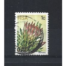 SouthAfrica.SG414 1c Protea Repens.Fine Used.Sep25p