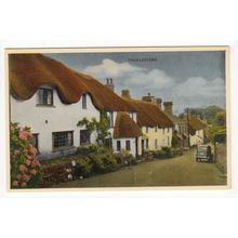 Village Street at Thurlestone Postcard Devon