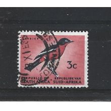SouthAfrica.SG203 3c Burchells's Gonolek.Variety Unchecked.Fine Used.Aug25b