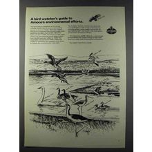 1981 AMOCO Oil Ad - A Bird Watcher's Guide