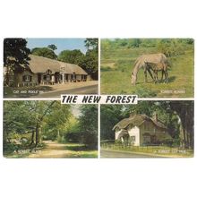 THE NEW FOREST,multiview used postcard by J. Salmon 1966 postmark =