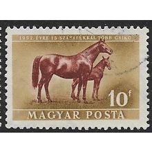 1951 Michel 1150 - fine used (o) - ANIMAL